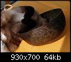 Kleines Video zu Hund katze und Klangschalen-hpim85141.jpg